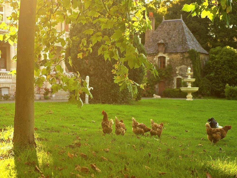 Chateau Le Breil Coron Bagian luar foto